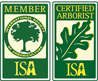 ISA