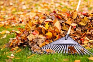 Tips for Clearing Up the Leaves this Fall