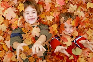 How to Properly Care for Your Trees This Fall