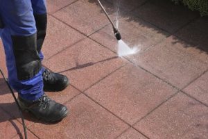 Are Power Washers Safe to Use on Trees?