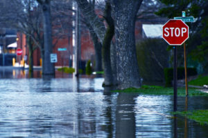 3 Ways Flooding Affects Your Trees