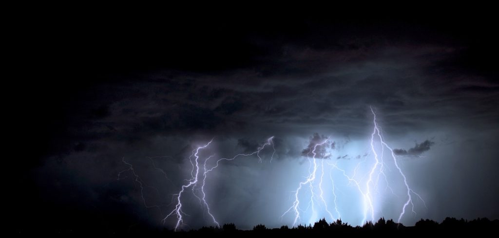 Caring for Your Trees After a Storm