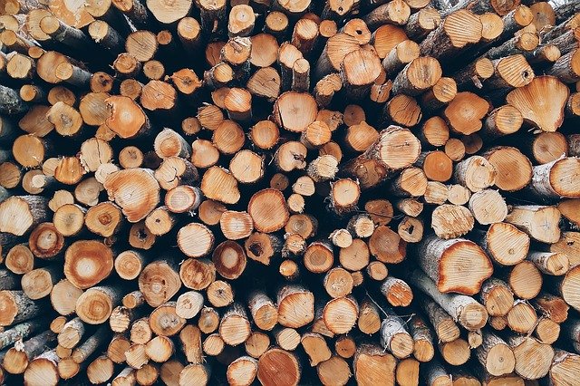 Bundle of firewood, Maryland-Washington, DC, Nelson Tree Specialist