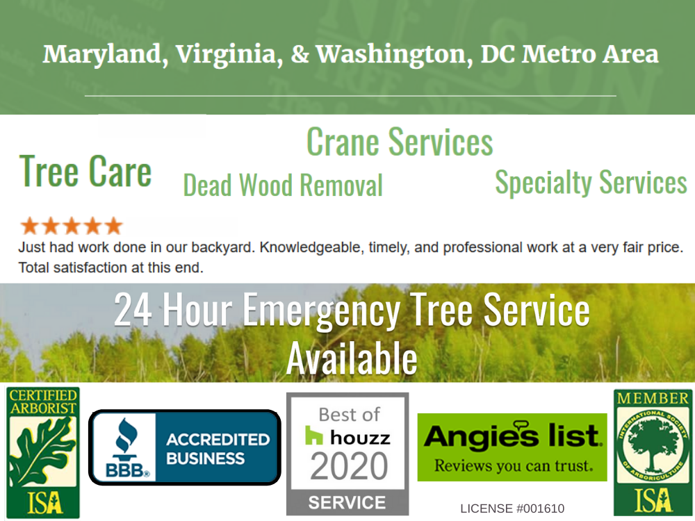 tree care company 