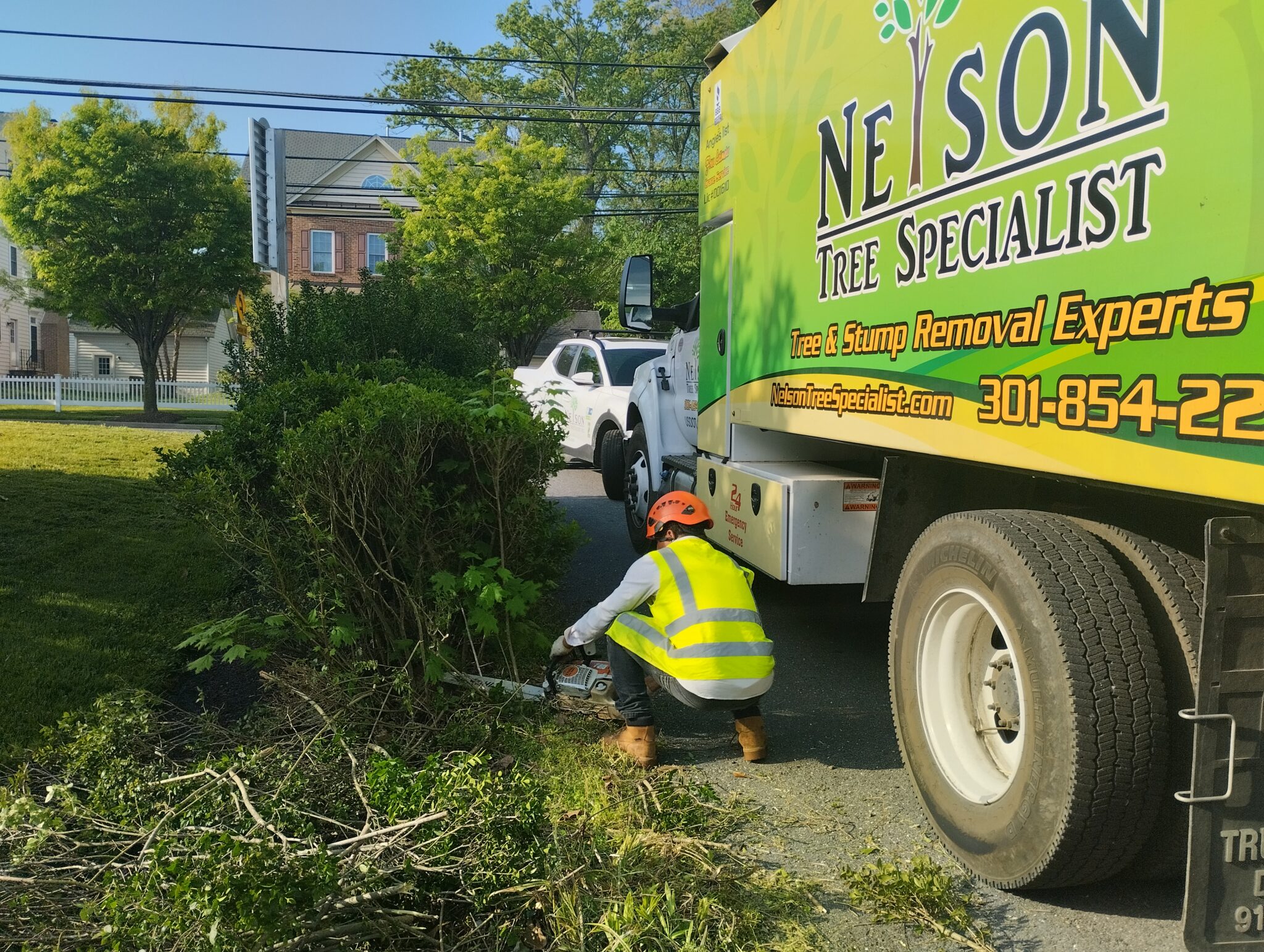 "Expert Tree Care Services in Sandy Spring, MD Nelson Tree Specialist