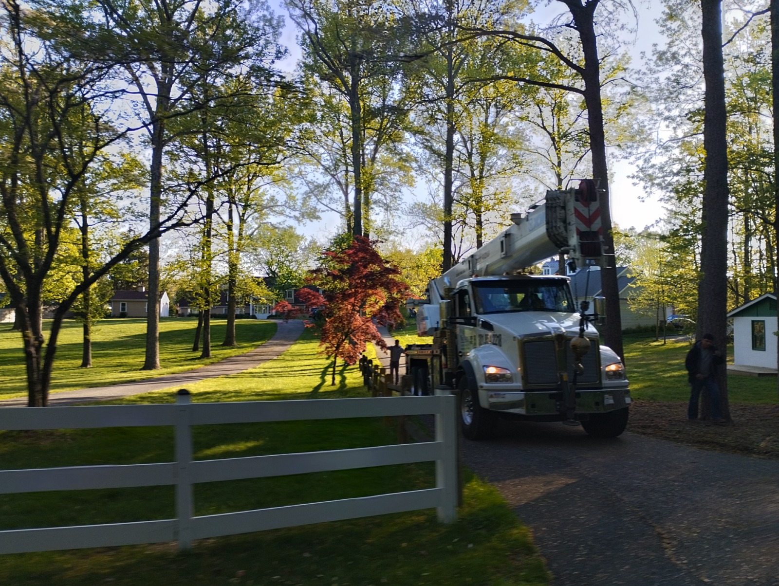 "Efficient Tree Service: Utilizing a Big Crane for Hassle-free Log and ...