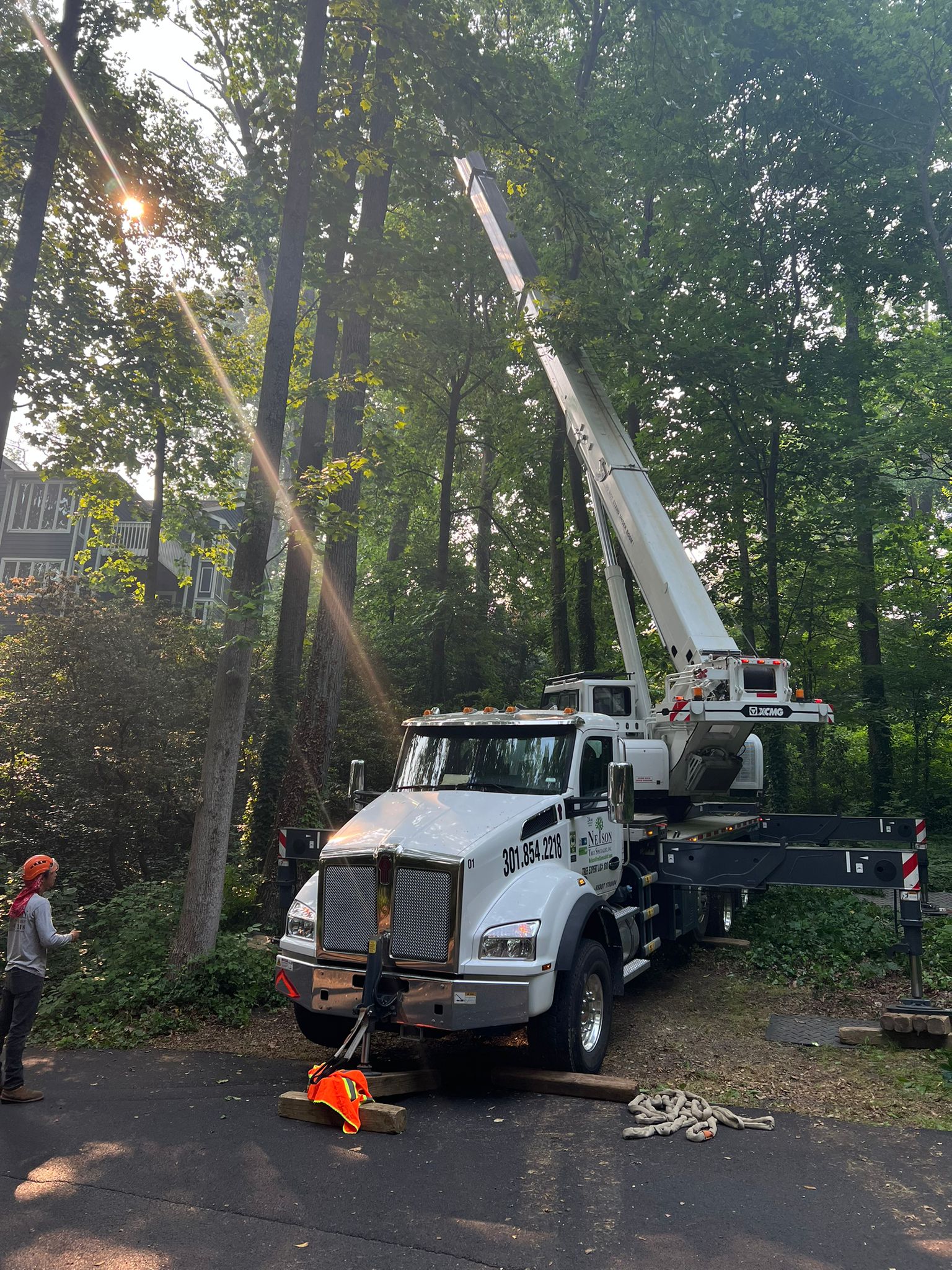 "Efficient Tree Service: Utilizing a Big Crane for Hassle-free Log and ...