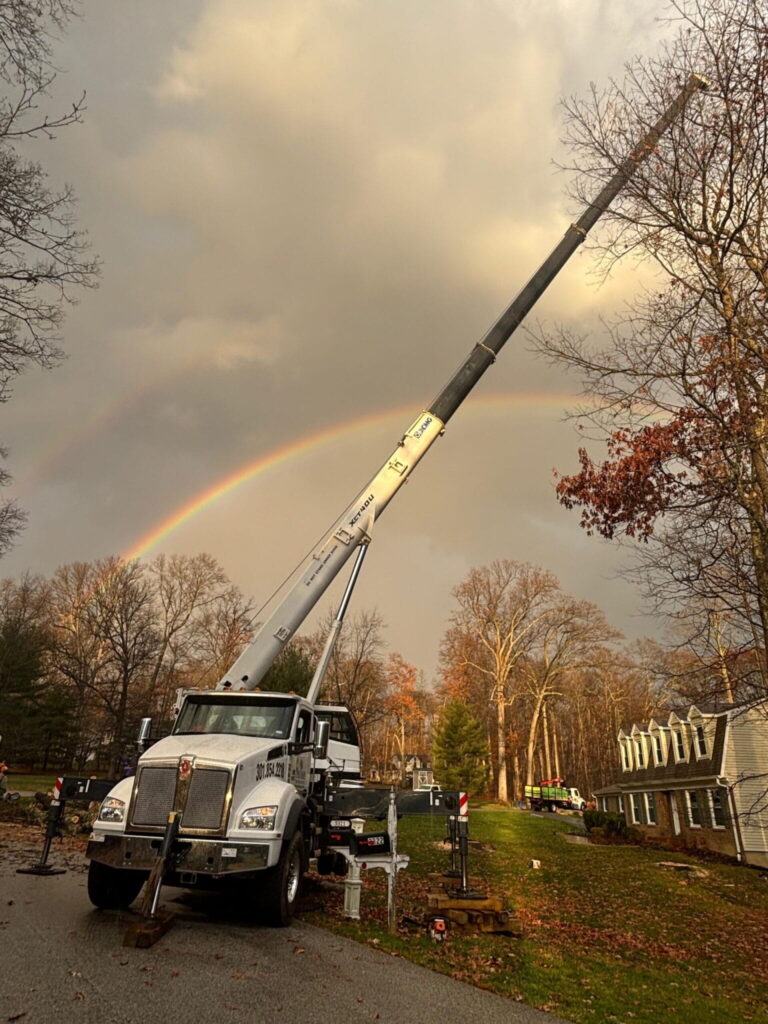 24-Hour Emergency Tree Service in Maryland